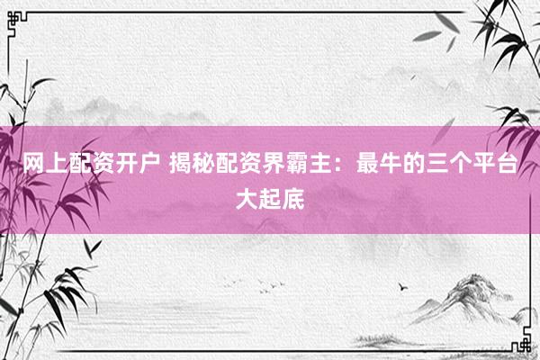 网上配资开户 揭秘配资界霸主：最牛的三个平台大起底