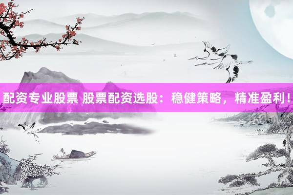 配资专业股票 股票配资选股：稳健策略，精准盈利！