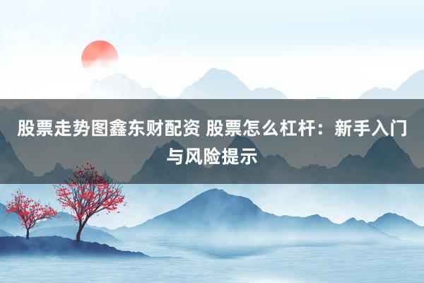 股票走势图鑫东财配资 股票怎么杠杆：新手入门与风险提示