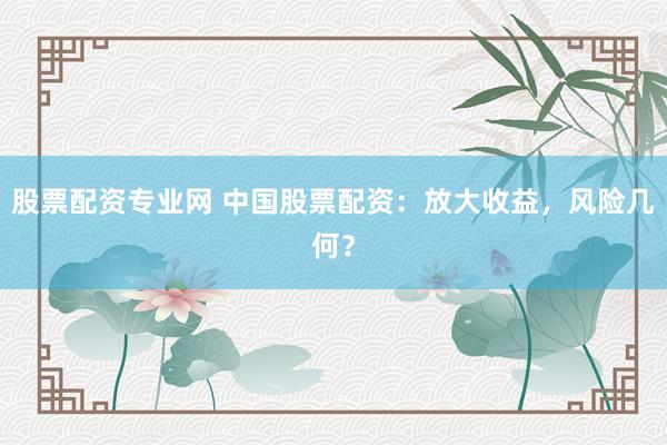 股票配资专业网 中国股票配资：放大收益，风险几何？