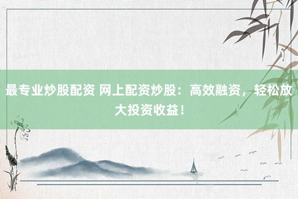 最专业炒股配资 网上配资炒股：高效融资，轻松放大投资收益！