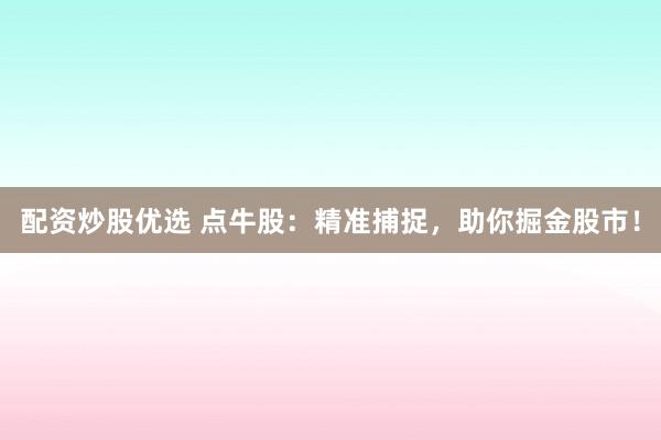 配资炒股优选 点牛股：精准捕捉，助你掘金股市！