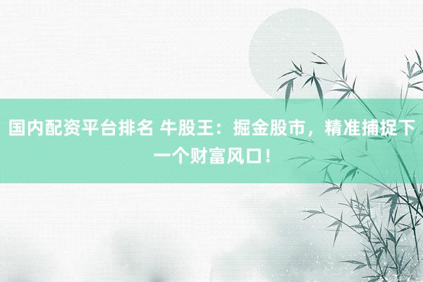 国内配资平台排名 牛股王：掘金股市，精准捕捉下一个财富风口！
