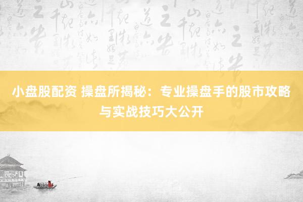 小盘股配资 操盘所揭秘：专业操盘手的股市攻略与实战技巧大公开