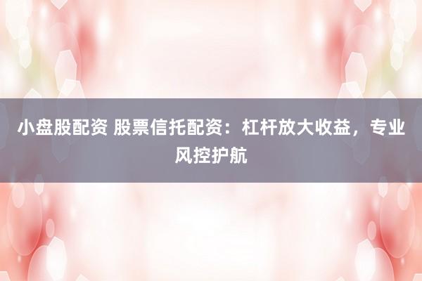 小盘股配资 股票信托配资:杠杆放大收益,专业风控护航