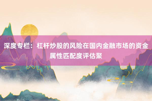 深度专栏：杠杆炒股的风险在国内金融市场的资金属性匹配度评估聚