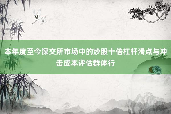 本年度至今深交所市场中的炒股十倍杠杆滑点与冲击成本评估群体行