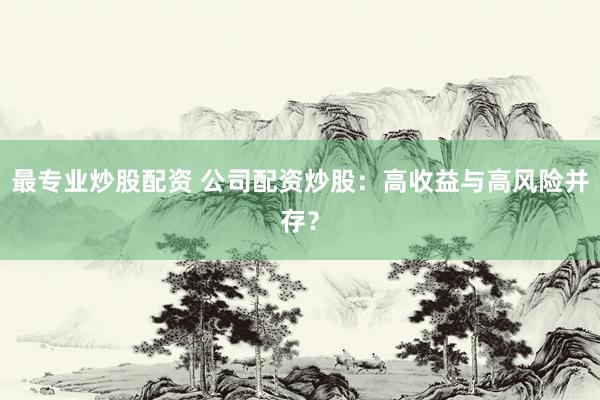 最专业炒股配资 公司配资炒股：高收益与高风险并存？