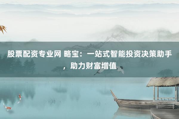 股票配资专业网 略宝：一站式智能投资决策助手，助力财富增值