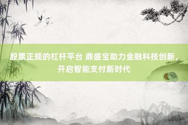 股票正规的杠杆平台 鼎盛宝助力金融科技创新，开启智能支付新时代