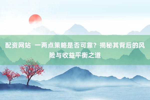 配资网站  一两点策略是否可靠？揭秘其背后的风险与收益平衡之道